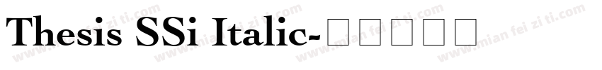 Thesis SSi Italic字体转换